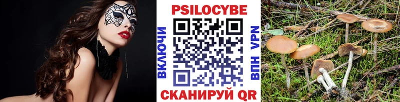 Галлюциногенные грибы GOLDEN TEACHER  Купить  Новоуральск 