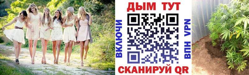 МАРИХУАНА семена  Купить закладки  Новоуральск 
